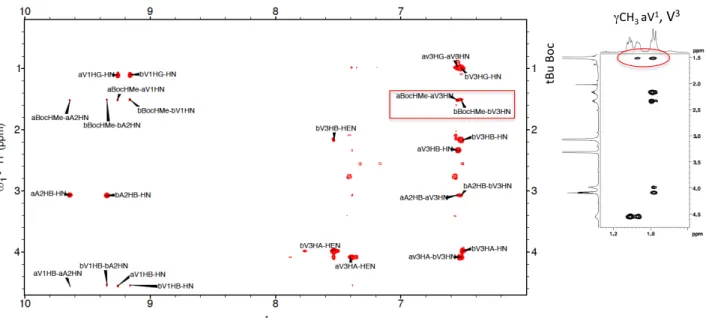 Figure S7: Expansion of the 2D  1 H- 1 H ROESY spectrum of pseudopeptide 2 (28.6 mM) in methanol at 273 K  (500.3 MHz, mixing time of 800 ms), showing the correlation peaks between NH and side chain protons  for  conformers A and B