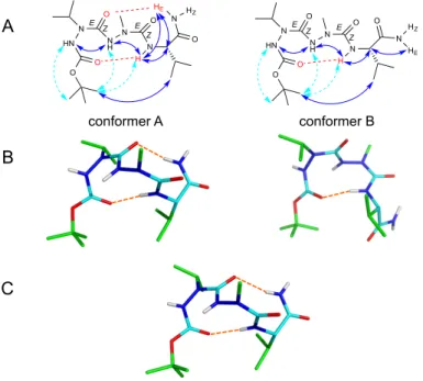 Fig.   4   Conformations   of   Boc-­‐aVal-­‐aAla-­‐Val-­‐NH 2    2.   A)   NMR   conformational   parameters   in   methanol:   schematic   representation   of   ROEs   (blue    and   dashed   cyan   arrows   correspond   to   strong,   and   weak   inten