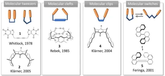 Figure 1. Schematic representation of the molecular tweezers, clefts, clips and switches introduced to  describe acyclic synthetic receptors, and their first reported examples