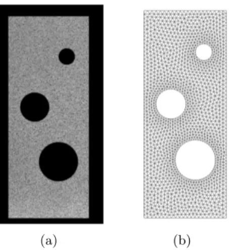 Figure 1: Reference image and mesh for MIC analysis in the case of anisotropic elasticity.