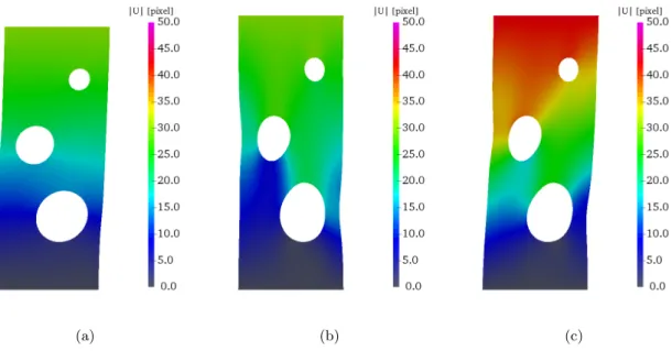 Figure 2: Displacement magnitude in pixel for the three load steps in the case of anisotropic elasticity (amplification factor 5).