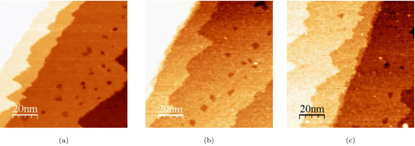 Figure 8: STM images of pre-oxidized Cu(111) surface (a) before exposure to 2-MBT (100 nm × 100 nm, V = 1.0 V, I = 0.2 nA); (b) after 21 L of 2-MBT (100 nm × 100 nm, V = 1.0 V, I = 0.6 nA); (c) after 40 L of 2-MBT (100 nm × 100 nm, V = 0.7 mV, I = 0.3 nA).