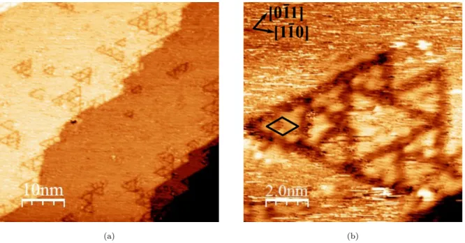 Figure 4: STM images for 4 L (exposure) of 2-MBT on Cu(111) (a) 50 nm × 50 nm, V = −1.0 V, I = 1.0 nA; (b) 10 nm × 10 nm, V = −1.0 V, I = 0.5 nA.