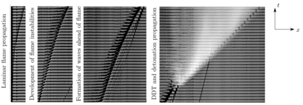 Figure 3: DDT stages for stoichiometric H 2 -O 2 in a 6 × 6 mm channel. Initial conditions:
