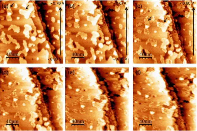 Figure 4: Sequence of EC-STM topographic images recorded in 0.1 NaOH + 0.1M glycerol  during a dynamic sweep at 1mV/s from U Cu  = -0.8V to -0.6V (a-c) and directly after the  sweep (d-f)