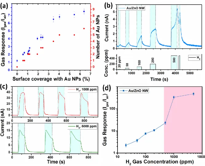 Figure  9.  (a)  Measured  gas  response  versus  the  Au  NPs  surface  coverage  of  individual  Au- Au-NP/ZnO-NW (with diameter of 120 ± 10 nm and grown in various solutions of HAuCl 4 ) calculated  from SEM images