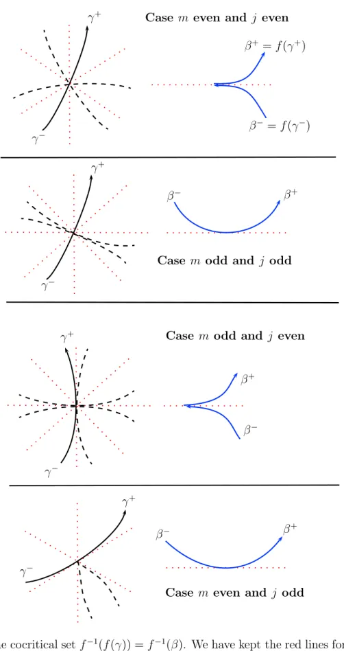 Figure 5: The cocritical set f −1 (f (γ)) = f −1 (β). We have kept the red lines for reference.