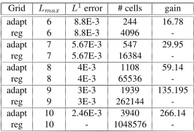 Tableau 1. Gain relative to each refinement level at T=0.11.