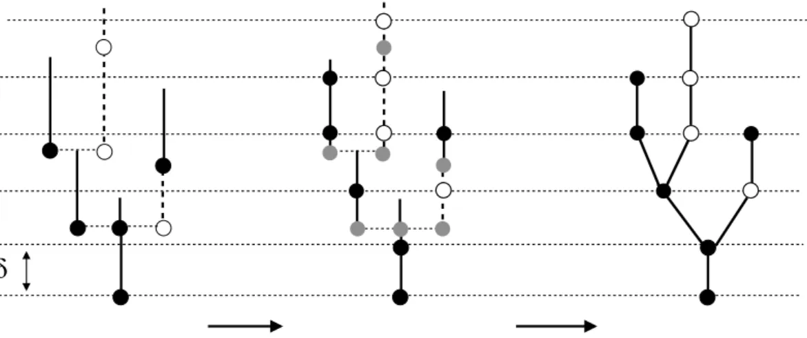 Figure 3. Discretisation of a two type tree with edge lengths.