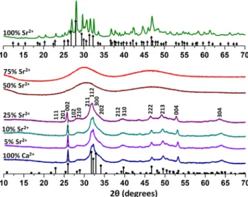 Fig. 1. XRD patterns for the series of samples 0–100%Sr 2+ after six days of reaction.