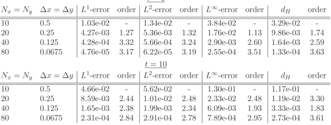 Table 1. (Example I.1) Local error and Hausdorff distance, t = 1 and t = 10, with P 2 .