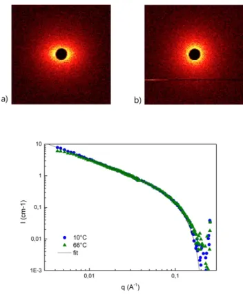 Figure 4. 2D SANS scattering pattern for a 6.9 mM (5.9 g/L) solution of SS1 in  MCH-D 14   at  10°C  (a)  or  66°C  (b)