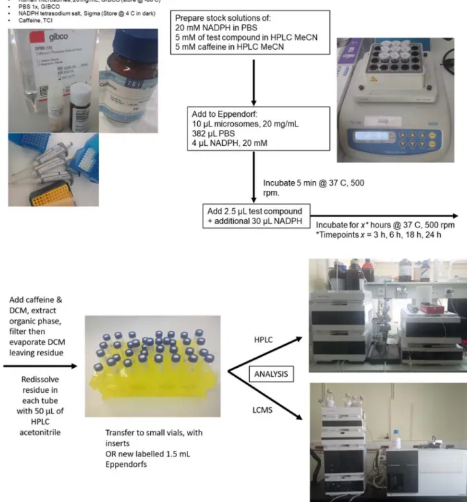 Figure 4. Step-by-step guide for metabolic stability studies with microsomes.  