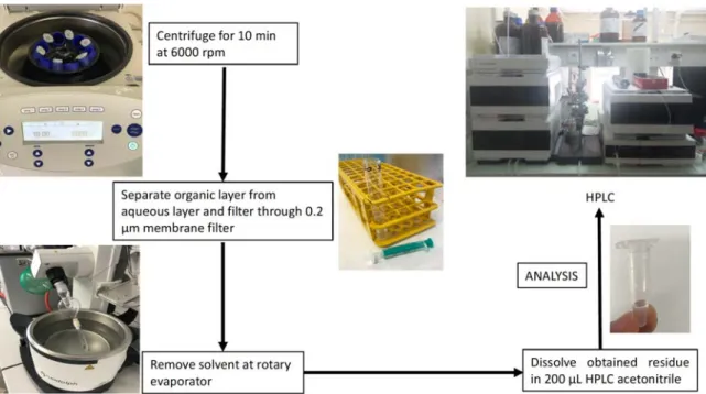 Figure 1 Step-by-step guide for investigating the stability of compounds in human plasma