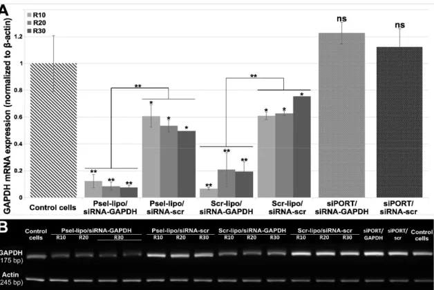 Figure 7. (A) The expression of GAPDH mRNA in b.End3 cells was significantly reduced by Psel- Psel-lipo/siRNA-GAPDH (100 nM siRNA)