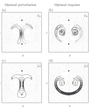 FIG. 9. Symmetric case, optimal initial perturbation and optimal response at t⌫ / 2 ␲ b 2 = 1