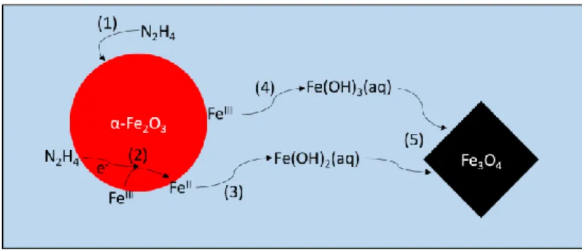 Figure 9 – Schematic of hematite reduction mechanism by hydrazine under hydrothermal condition 