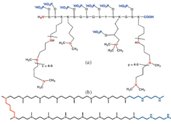 Fig. 5 Molecular structure of (a) silaﬃns and (b) LPA.