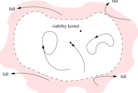 Figure 1: The viability kernel gathers all the states from which it is possible to avoid to fall, equilib- equilib-rium points and cyclic movements among others