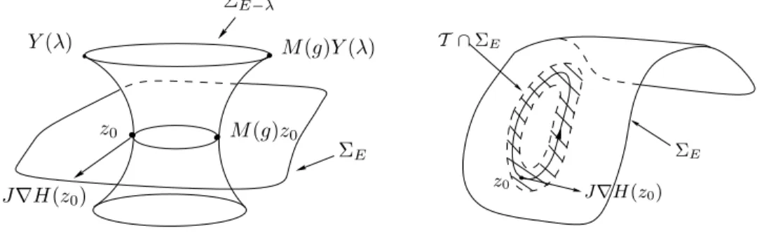 Fig. 2.1 – Cylindre d’orbites g-invariantes. A droite, la seule orbite p´eriodique ayant une g- g-p´eriode proche de t 0 et rencontrant T ∩ Σ E est γ.