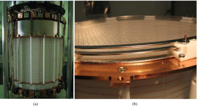 Figure 2.10: (a) XENON100 TPC, (b) XENON100 top meshes : top and bottom correspond to ground meshes, while the anode is in the middle.