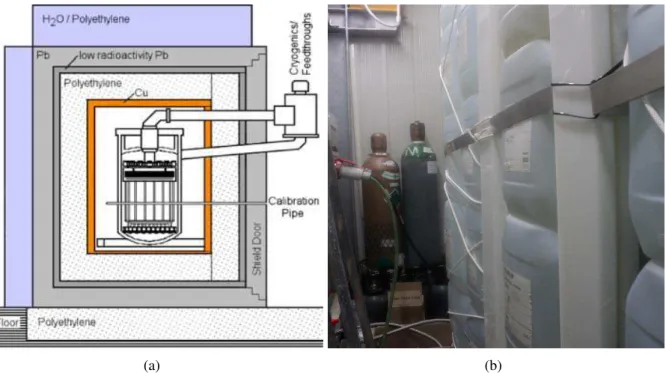 Figure 2.16: (a) Illustration of the several layers of the XENON100 passive shield, from [122], (b) picture of the back side of the XENON100 shield.