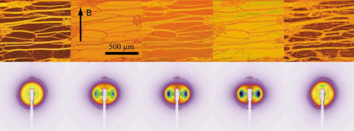 Figure 3: Optical microscopy textures (top) and SAXS signal (bottom) of the lamellar L α phase doped with the goethite isotropic phase (I /L α ) at coexistence with the nematic-doped phase N/L α for different values of the applied field