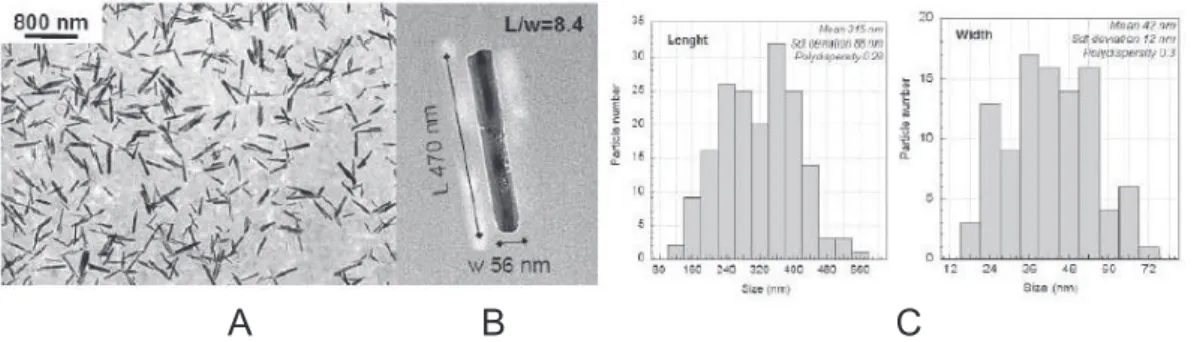 Figure 1 presents a representative TEM image and the particle size distribution. The subsequent analysis was described in the text.