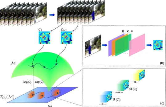Fig. 1 Online action recognition from a Riemannian video representation. In (a) the method starts by computing point 