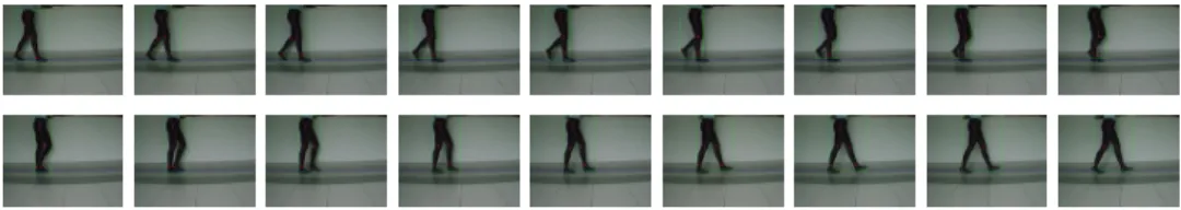Figura 5: Detecci´ on y seguimiento de las articulaciones de cadera, rodillas y tobillos en medio ciclo de marcha (18 cuadros de video).