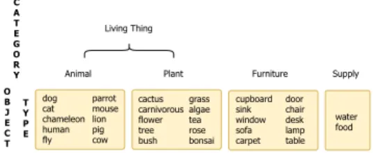 Figure 5: Representation of possible ob- ob-jects types and categories.
