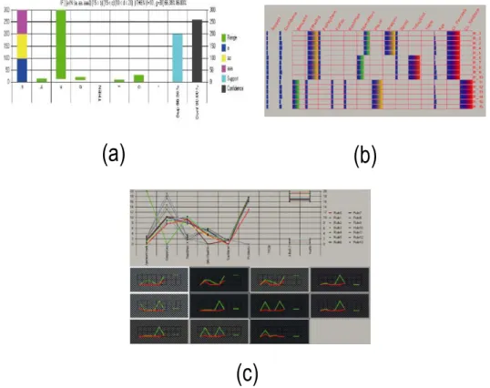 Figure 1.6: An association rule representation using bar chart for one rule visualisation (a), grid-like visualisation for multiple rules visualisation (b) and parallel-coordinate  visuali-sation (c) [171].
