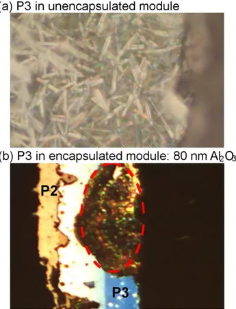 Figure 5. (a) Optical image of P3 interconnection for unencapsulated CIGS module after 1000 h  DHT where the needle-like structure is seen to form on the Mo back contact, and for (b) 80 nm  ALD-Al 2 O 3  encapsulated module where partial degradation (highl