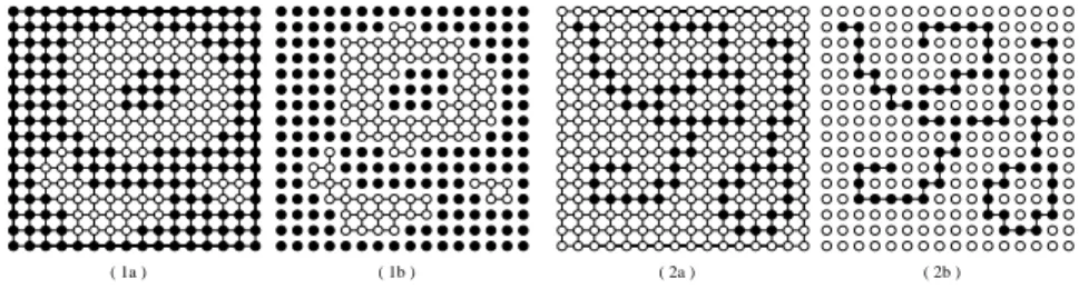 Fig. 6. Use of an asynhronous parallelism on a programmable topology. (1a) The geodesi