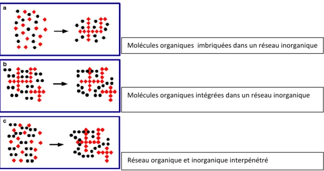 Figure  1-3  :  Interactions  entre  partie  organique  et  partie  inorganique  pour  OIH  de  classe  1,  disques  noirs :  molécules  organiques, losanges rouges : molécules inorganiques [10]