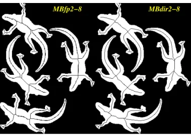 Fig. 7. Limitations of the rotation invariance shown on the image lizard at scale 2: