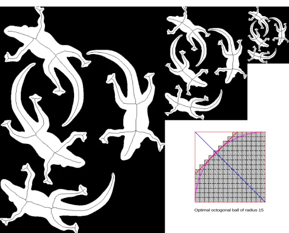 Fig. 8. The MB hybrid skeleton shown on image lizard at scales 1, 2 and 3: the radius of the biggest optimal octagonal ball is respectively 41, 21 and 11.