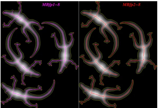 Fig. 9. Conditioning the MB thinning algorithms by a distance transform.
