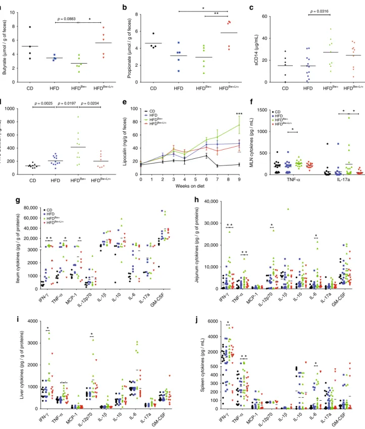 Fig. 7 B. wadsworthia potentiates HFD-induced intestinal barrier dysfunction and in ﬂ ammation