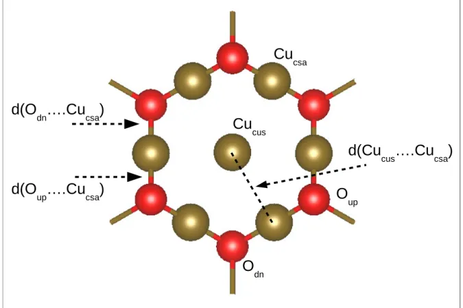 Figure 2: Surface sites, bond lengths and distances of Cu 2 O(111). Cu cus and Cu csa corre- corre-spond to unsaturated and saturated copper surface sites, respectively
