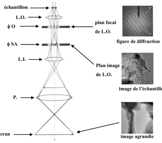 Fig II.9  : Trajet optique des électrons dans le microscope. Les différentes lentilles (L.O., L.I