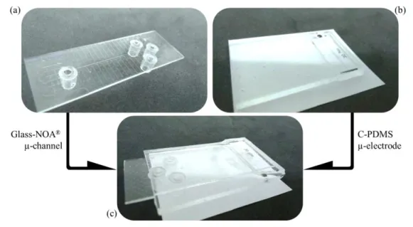 Figure 3 – Picture of (a) the Glass-NOA® microchannel, (b) the C-PDMS electrode and (c) the assembled 170 