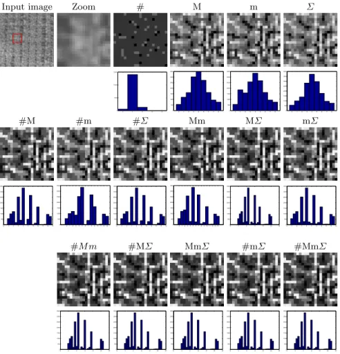 Fig. 2. A texture image and its label images and label histograms for the different configurations of attributes, with (P, R) = (8, 1)