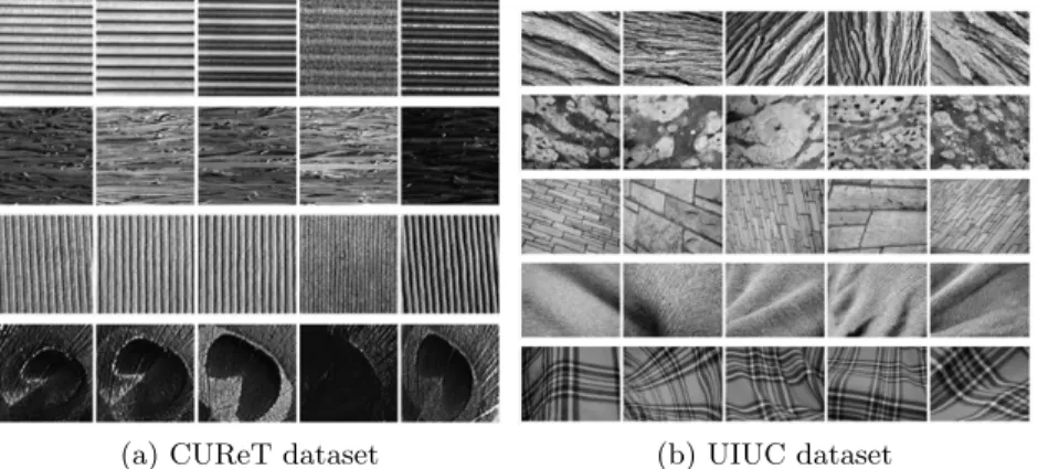 Fig. 5. Examples of texture images.