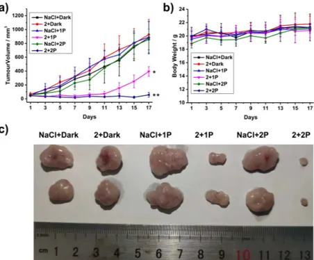 Figure 6. In vivo PDT study of 2b using 1P (500 nm, 10 mW/cm 2 , 15 min) or 2P (800 nm, 50  mW, 1 kHz, pulse width 35 fs, 5 s/mm) excitation on nude mice bearing an adenocarcinomic  human  alveolar  basal  epithelial  cancer  tumour