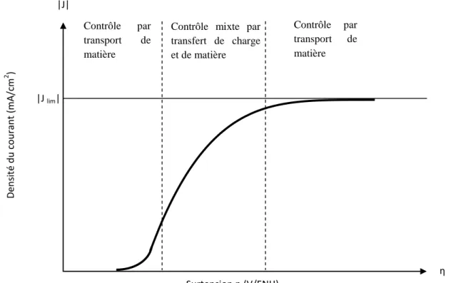 Figure  2.2-  Morphologie d’une courbe intensité/potentiel associé à un système irréversible  limité par la diffusion  