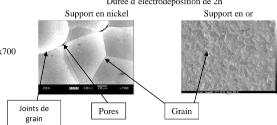 Figure 3.2- Les grains, pores et joints de grain pour les dépôts réalisés sur le support en nickel  (photo de gauche) et sur le support en or (photo de droite) 