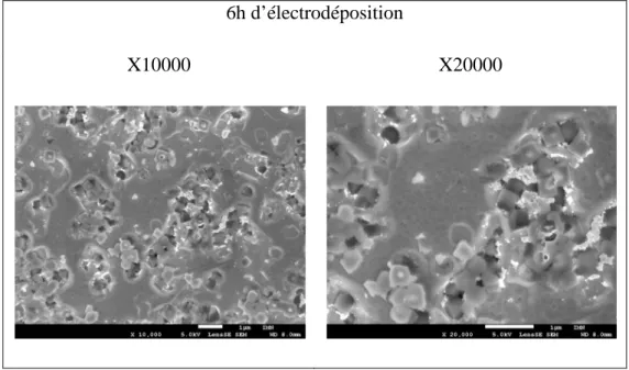 Figure 3.10- Photos avec 2 grossissements, x10000 et x20000, avec MEB (JEOL JSM-7600F)  du dépôt après 6h d’électrodéposition sur le support en or 