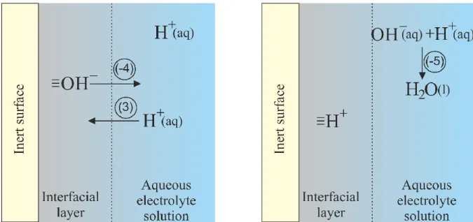 Figure 2. The overall reaction (Eq. 9) involves exchange of H +  (Eq. 1) and OH –  (Eq
