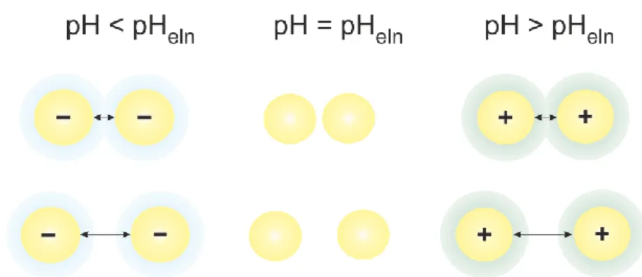 Figure 3. The process of dilution (Eq. 16) in the calorimetric experiment, at constant pH and  ionic strength, involves increasing the distance between two PTFE particles and consequently  a reduction in electrostatic interactions of electrically charged p
